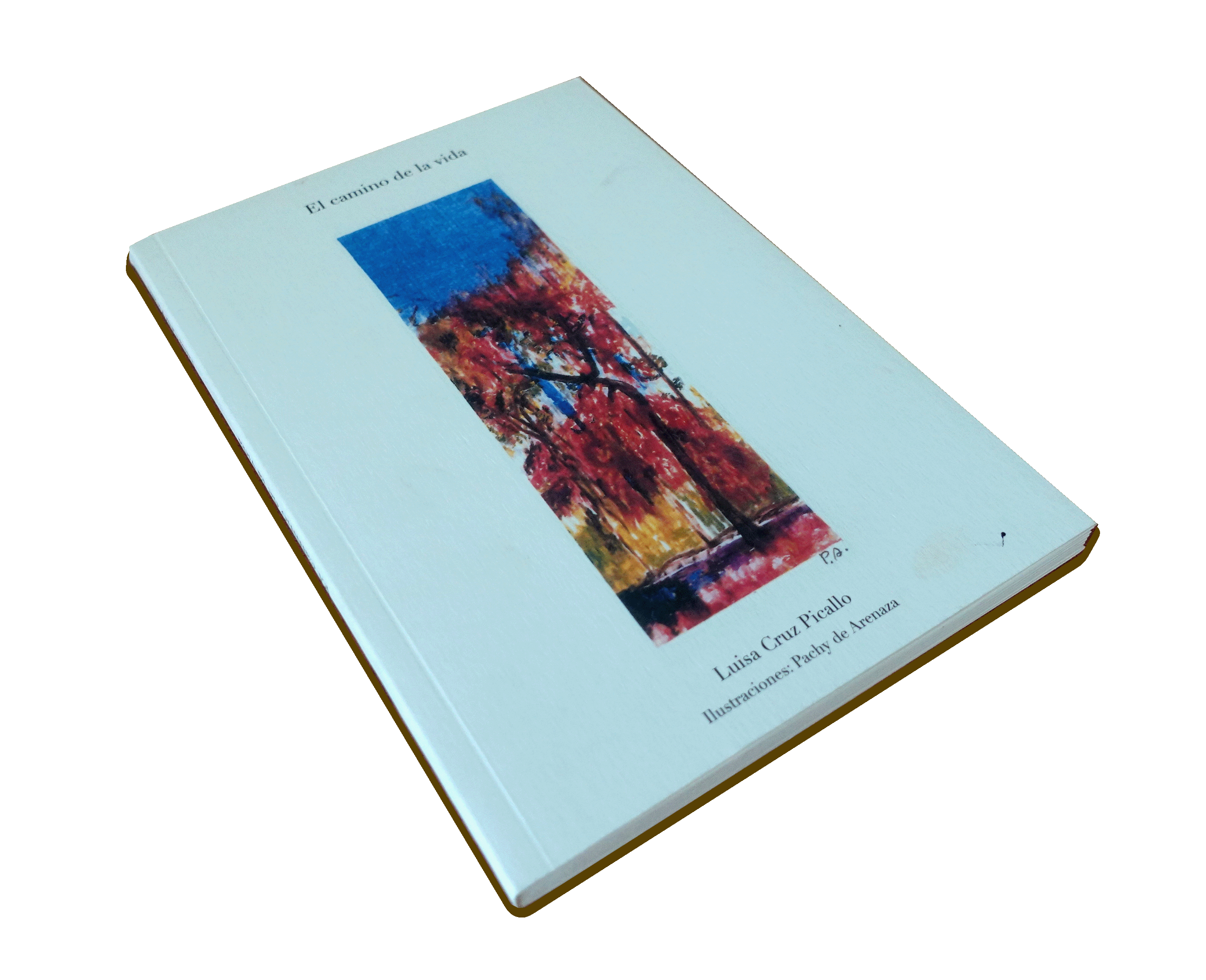 VISTA DEL LIBRO
