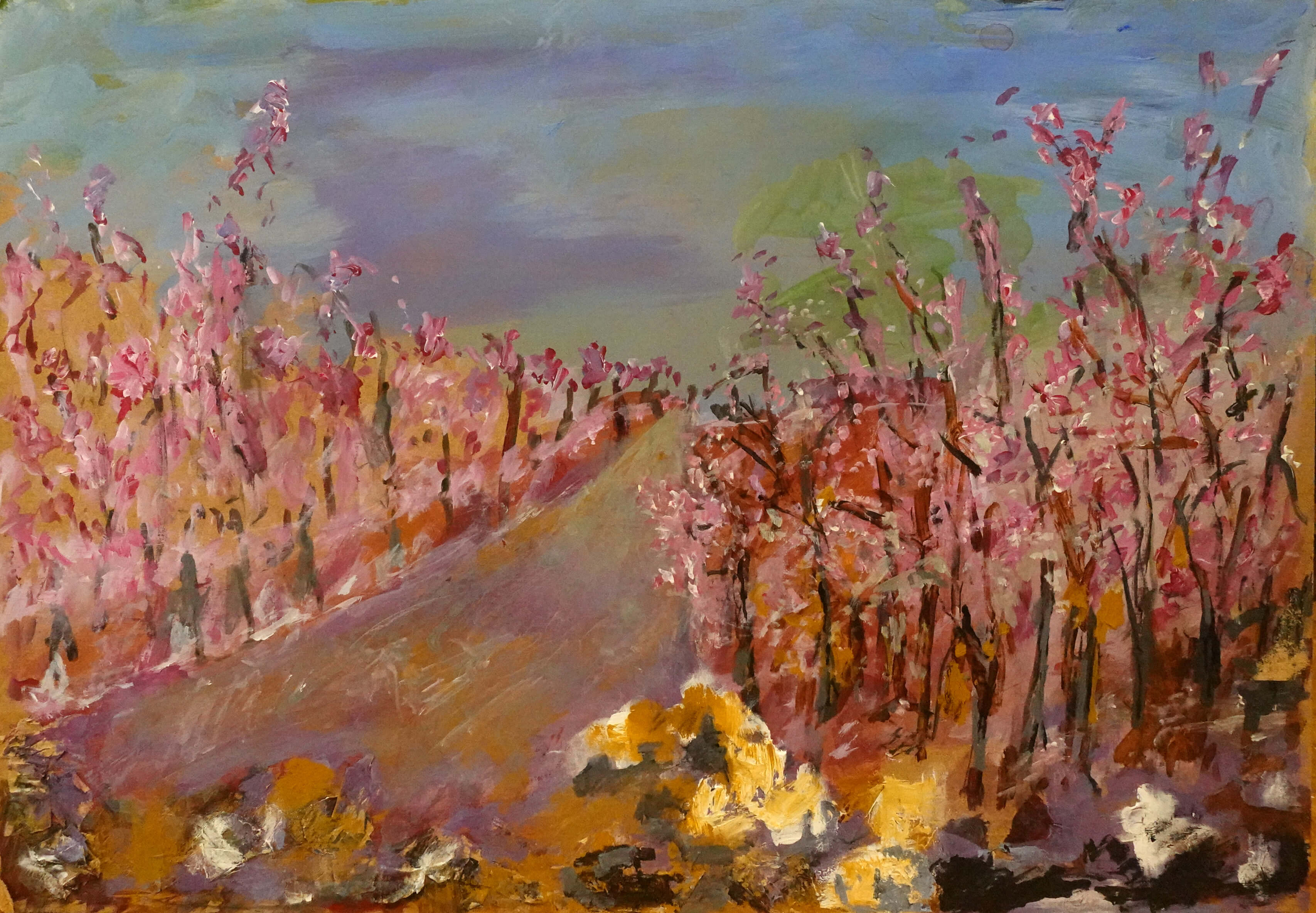 VISTA DE LA OBRA