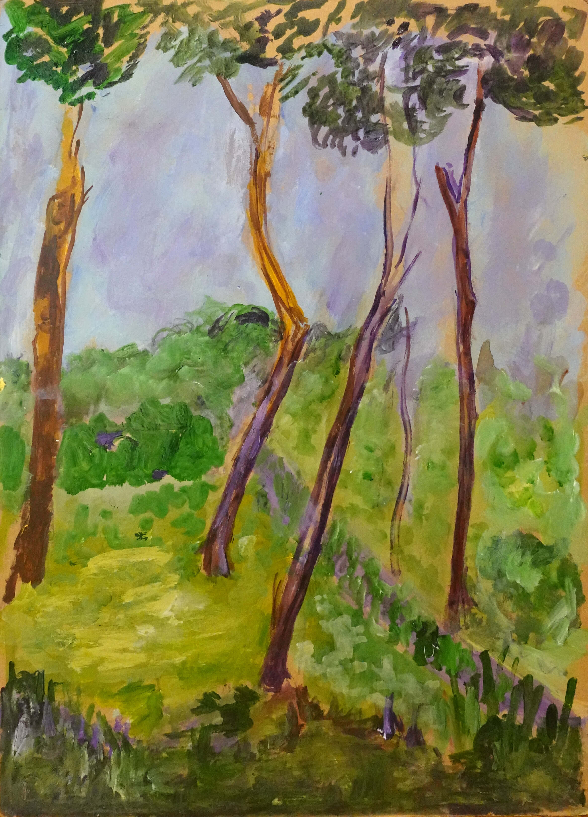 VISTA DE LA OBRA