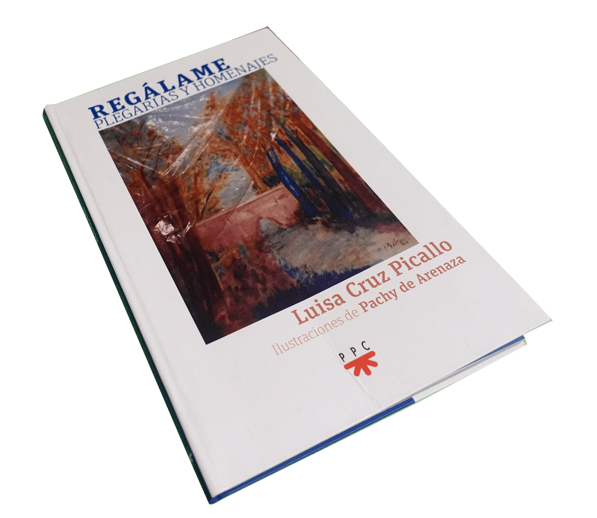 VISTA DEL LIBRO